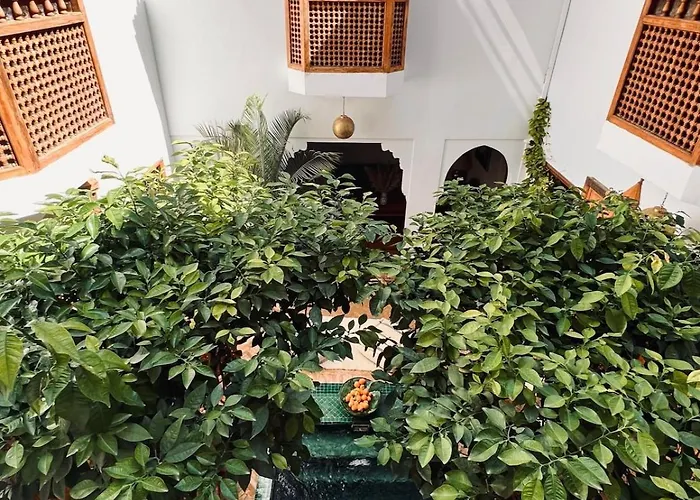 Riad privé Sadaka Bassin Rooftop Marrakesh